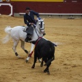Castellón, Magdalena 2013