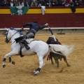 Castellón, Magdalena 2013