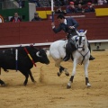 Castellón, Magdalena 2013