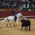 Castellón, Magdalena 2013