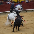 Castellón, Magdalena 2013