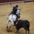 Castellón, Magdalena 2013