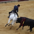 Castellón, Magdalena 2013