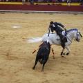 Castellón, Magdalena 2013