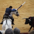 Castellón, Magdalena 2013