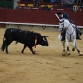 Castellón, Magdalena 2013