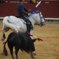 Castellón, Magdalena 2013