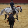 Castellón, Magdalena 2013