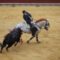 Castellón, Magdalena 2013