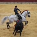 Castellón, Magdalena 2013