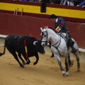 Castellón, Magdalena 2013