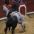 Castellón, Magdalena 2013