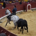 Castellón, Magdalena 2013