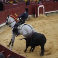 Castellón, Magdalena 2013