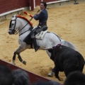 Castellón, Magdalena 2013