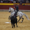 Castellón, Magdalena 2013