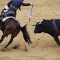 Castellón, Magdalena 2013