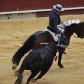 Castellón, Magdalena 2013