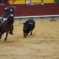 Castellón, Magdalena 2013