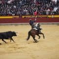 Castellón, Magdalena 2013