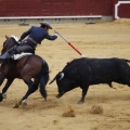 Castellón, Magdalena 2013
