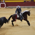 Castellón, Magdalena 2013