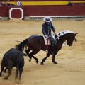 Castellón, Magdalena 2013