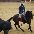 Castellón, Magdalena 2013