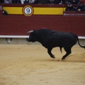 Castellón, Magdalena 2013