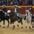 Castellón, Magdalena 2013
