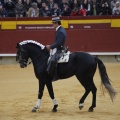 Castellón, Magdalena 2013