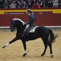 Castellón, Magdalena 2013