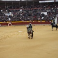 Castellón, Magdalena 2013