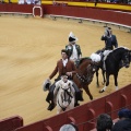 Castellón, Magdalena 2013