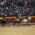 Castellón, Magdalena 2013