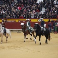 Castellón, Magdalena 2013