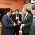 Bodeguillas