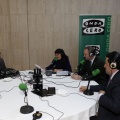 Bodeguillas