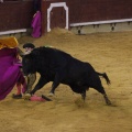 Magdalena 2013