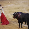 Magdalena 2013