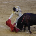 Magdalena 2013