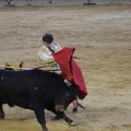 Magdalena 2013
