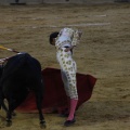 Magdalena 2013