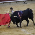 Magdalena 2013
