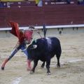 Magdalena 2013