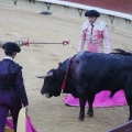 Magdalena 2013