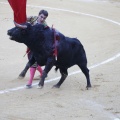 Magdalena 2013
