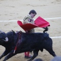 Magdalena 2013