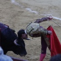 Magdalena 2013