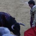 Magdalena 2013
